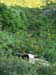 PICT1276
