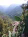 PICT1822